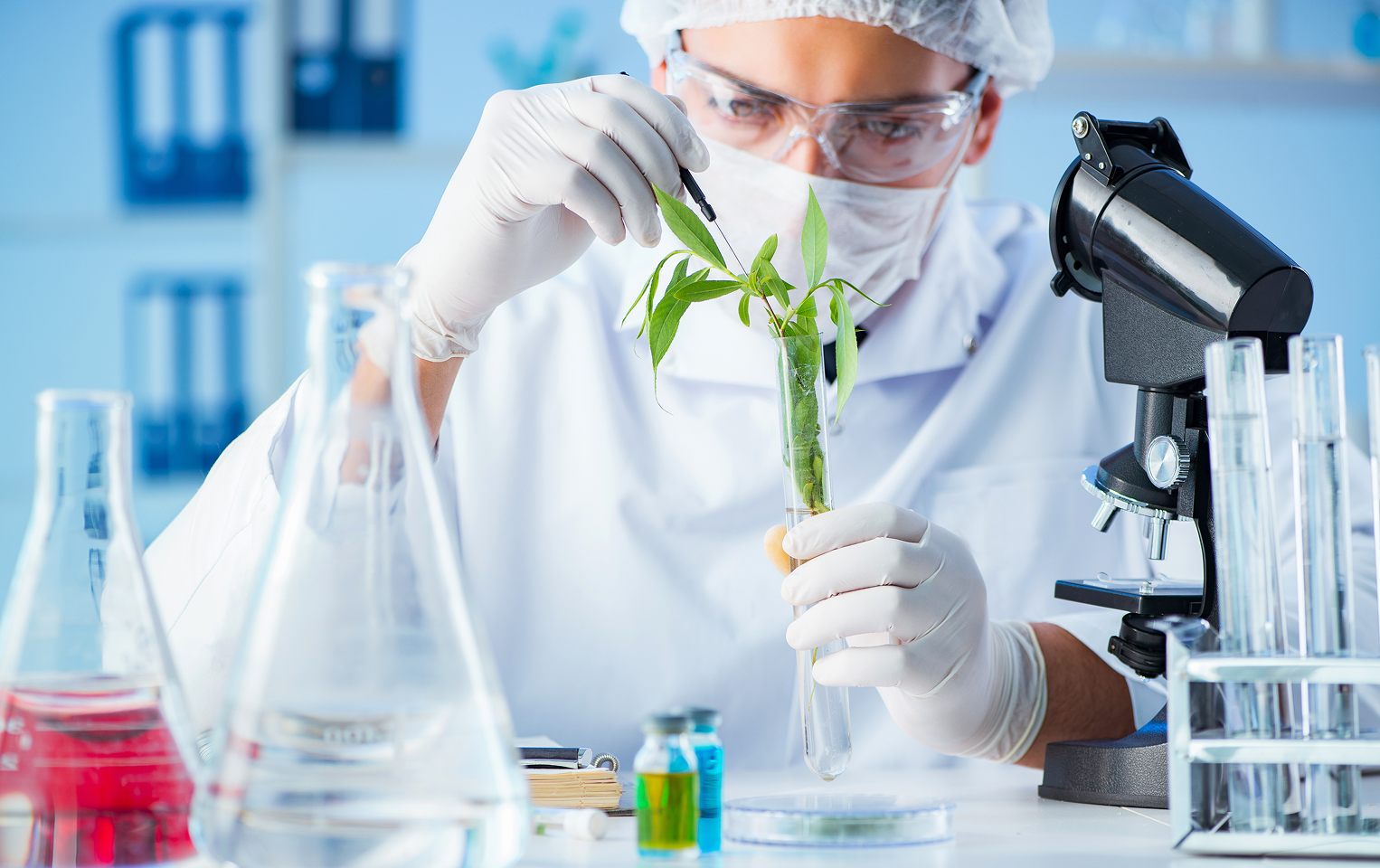 Pharmaceutical and Biotech